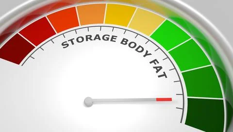 Storage body fat good level on measure scale. Instrument scale with arrow Stock Illustration