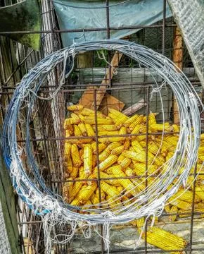 Storage cage made of wire to store corn Stock Photos