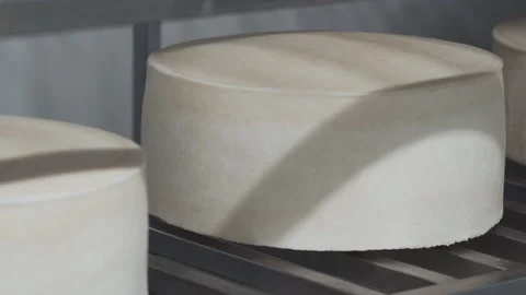 Storage of cheese in the refrigerator.  Vídeo Stock 177577716
