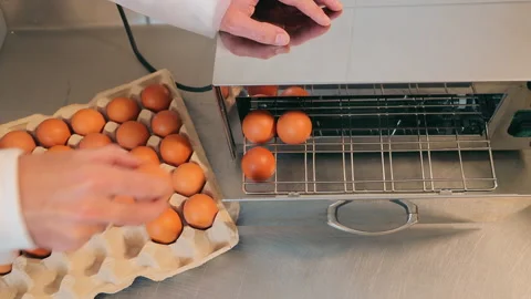Storage of chicken eggs in a device for sterilization and disinfection. The Stock Footage 171721815