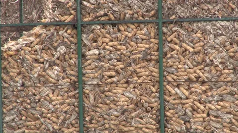 Storage for corncobs Video stock 37045244