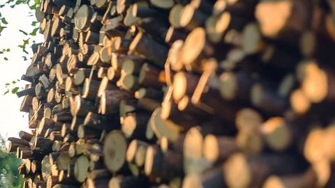 Storage of firewood for heating. Moving the focus Stock Footage 93080795
