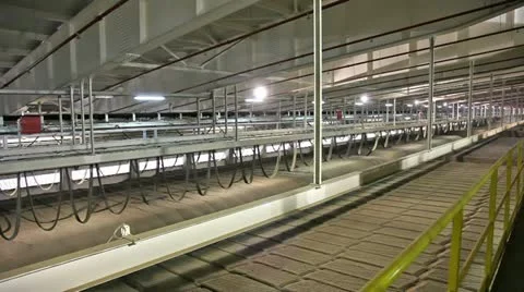 Storage Stock Footage 24662179