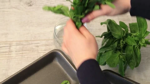 STORAGE OF GREENS 3 Stock Footage 155550017