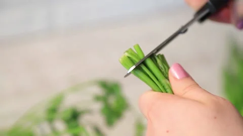 STORAGE OF GREENS 4 Stock Footage 155550023