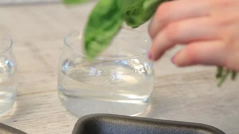 STORAGE OF GREENS 5 Stock Footage 155550025