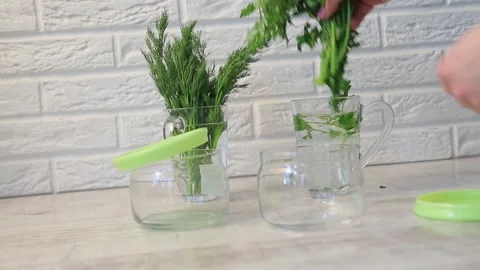 STORAGE OF GREENS Stock Footage 155550034