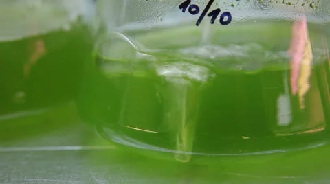 Storage, oxygenation and laboratory sample preparation algae, bubbles Video stock 62539816