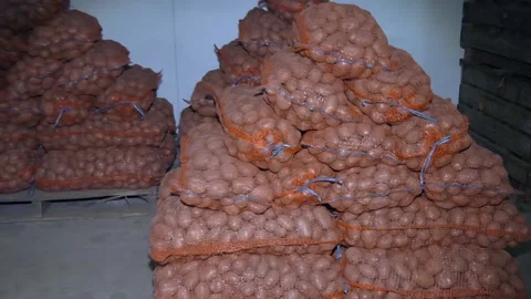Storage of potatoes in the vegetable store Stock Footage
