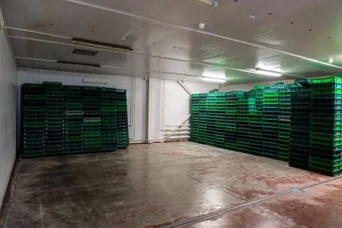 Storage room for empty hatcher baskets and boxes. Agro-industrial hatchery. Stock Photos