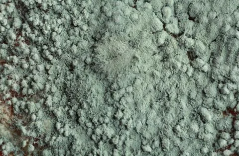 Storage root Stock Photos