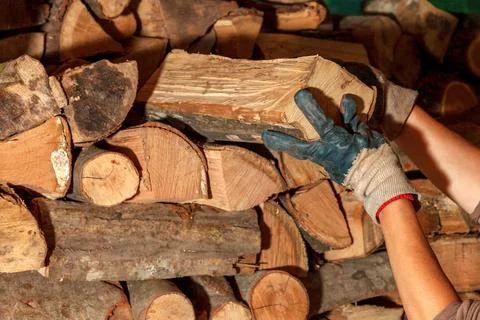 Storage of wood for drying during heating season 스톡 사진