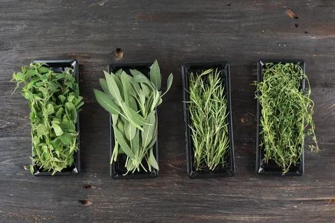 Store Bought Various Herbs, Sage, Rosemary, Oregano, and Thyme. Stock Photos