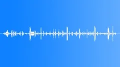 STORE, PET STORESound Effect