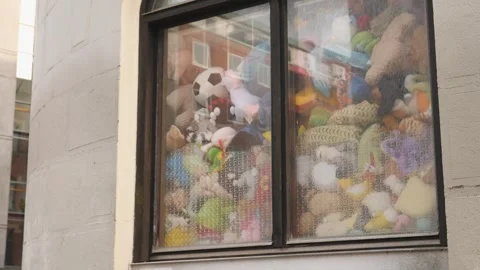 Store window stuffed full of animal plushy colorful children toys for kids Stock Footage 249496033