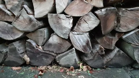 Stored wood Vídeo Stock 137724597