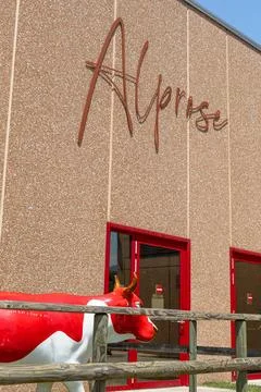 Storefront Sign in Script on Beige Building With Red Doors and Cow Statue O.. Stock Photos