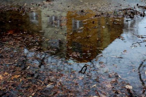 Storey Building Reflection in the Puddle 03 Stock Photos