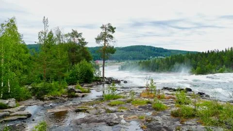 Storforsen rapid in Swedish Lappland Stock Photos