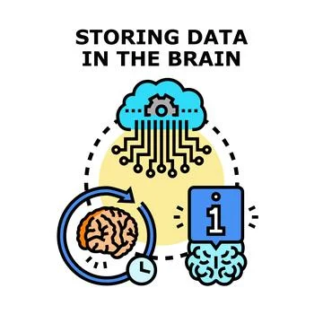 Storing data in brain learning process concept Stock-Illustration
