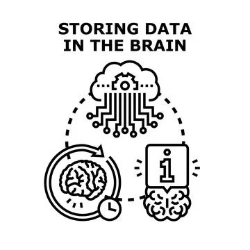 Storing data in brain learning process concept Stock Illustration