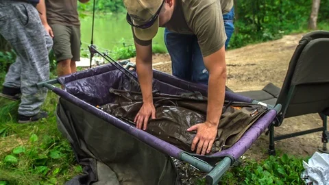 Storing a fish Video stock 112173804