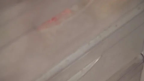 STORING GINGER Stock Footage 155411776