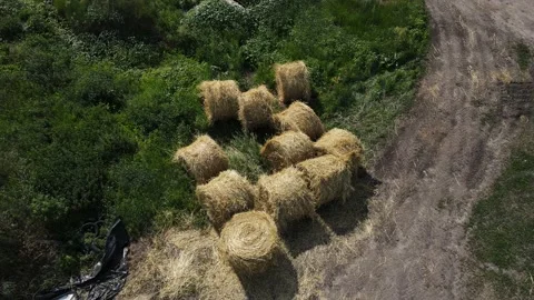 Storing a haystack in a specific location Stock Footage 157758206