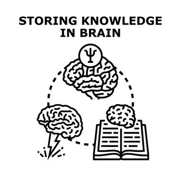 Storing knowledge in brain for mental development Illustrazione stock