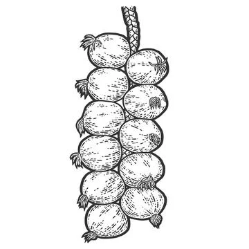 Storing onion in braid. Bunch of vegetables. Sketch scratch board imitation. Stock Illustration