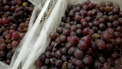 Storing red grapes in a warehouse in a box. Stock Footage 266484055