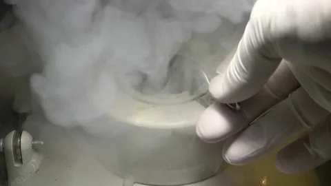 Storing sample in liquid nitrogen Stock Footage 110467265