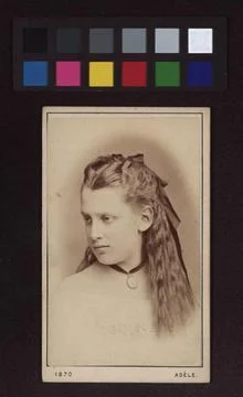Stork (). Adele perlmuter (studio adele) (1845-1941), Photographics Copyri... Stock Photos