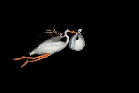 Stork Alpha Stock Footage 343736