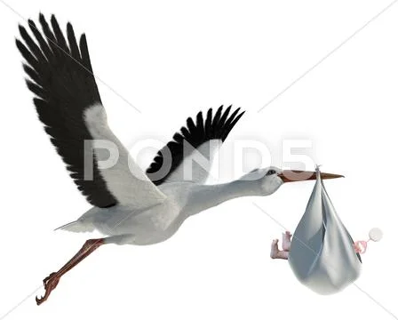 Stork & baby Stock Illustration
