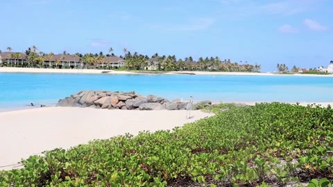 Stork on the beach Maldives Stock Footage 171070533