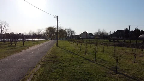 Stork between the trees Stockbeeldmateriaal 127876333