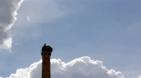Stork Chimmney Nest Still E Timelapse Stock Footage 48589655