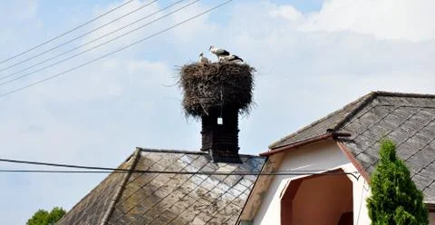 Stork on chimney Stock Photos