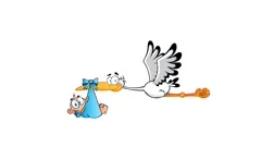 Stork Delivering A Newborn Baby Girl Car... | Stock Video | Pond5