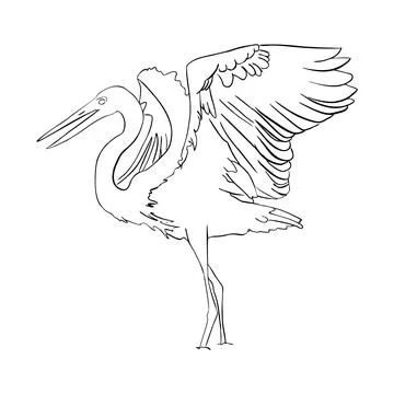 Stork flaps its wings Stock Illustration