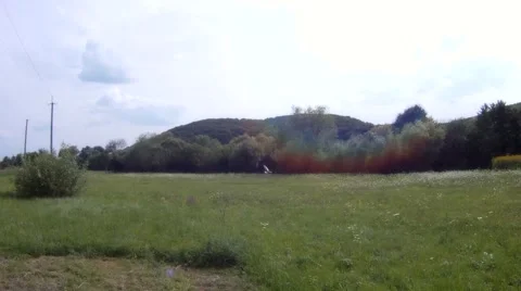 Stork flies over the field Video stock 54308135