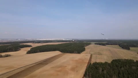 The stork flies over the ground, shooting from a quadcopter Stock Footage 172230211