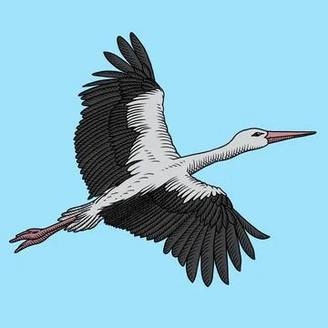 Stork in flight Stock Illustration