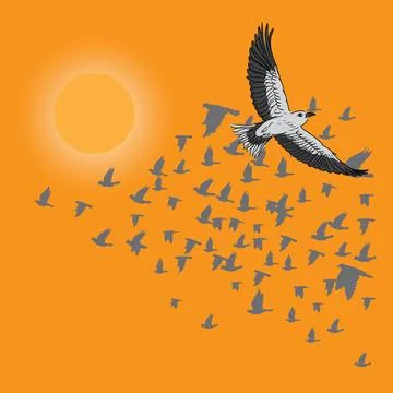Stork in flight Stock Illustration
