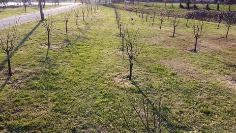 Stork Stockbeeldmateriaal 127876301