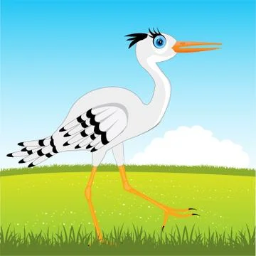 Stork on glade Illustrazione stock