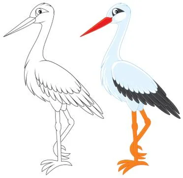 Stork Stock Illustration