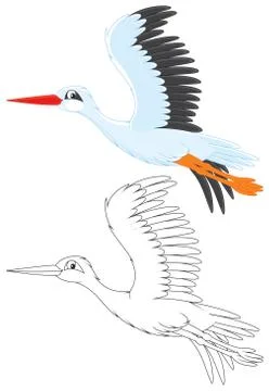 Stork Stock Illustration