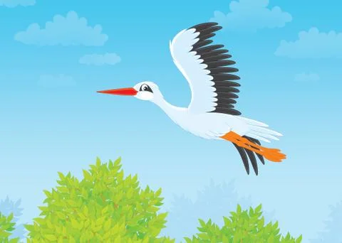 Stork Stock Illustration